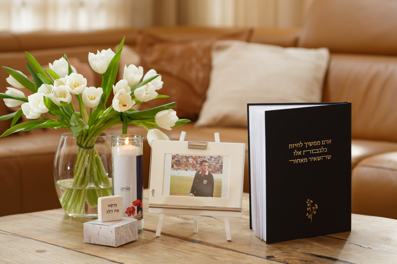 חבילות הניחומים של סופיה 2